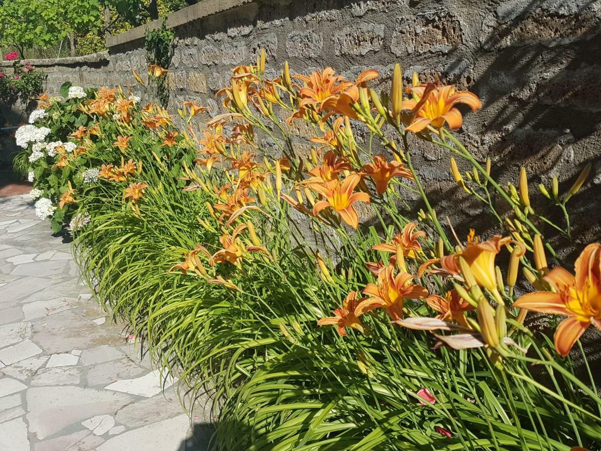 Apartament Fidanza House Bagnoregio Zewnętrze zdjęcie
