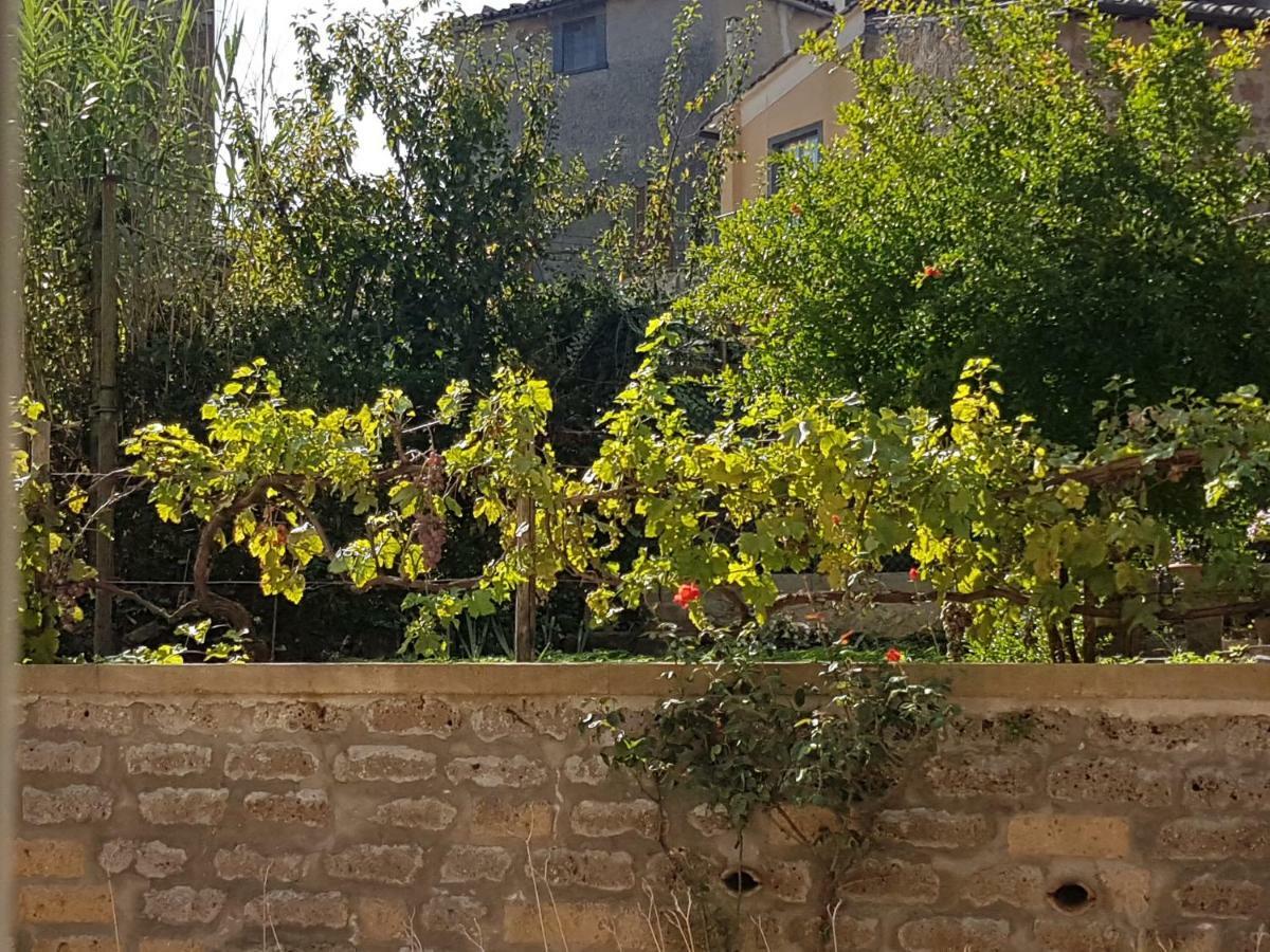 Apartament Fidanza House Bagnoregio Zewnętrze zdjęcie